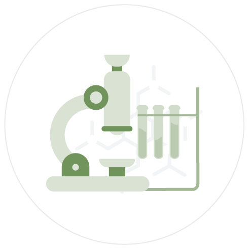 Shweed Medical Cannabis illustration | Shweed